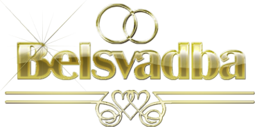 Логотип компании Belsvadba