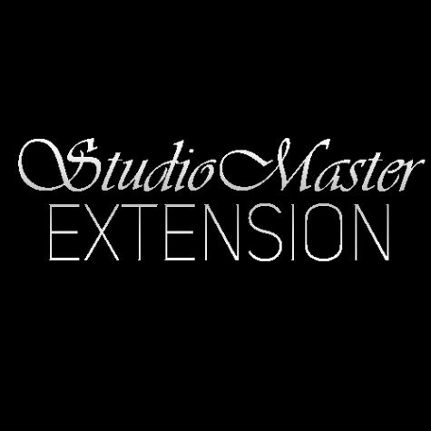 Логотип компании StudioMaster EXTENSION