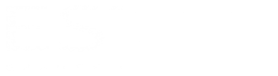Логотип компании ESTEL