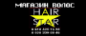 Логотип компании Hair Star