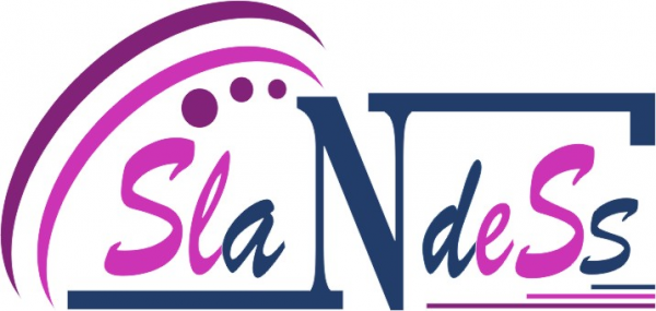 Логотип компании SlaNdeSs магазин трикотажа для детей