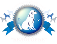 Логотип компании Белогорье