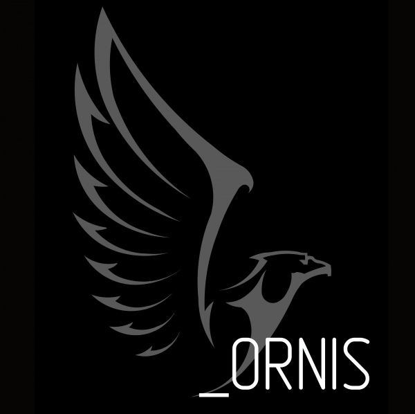 Логотип компании ORNIS