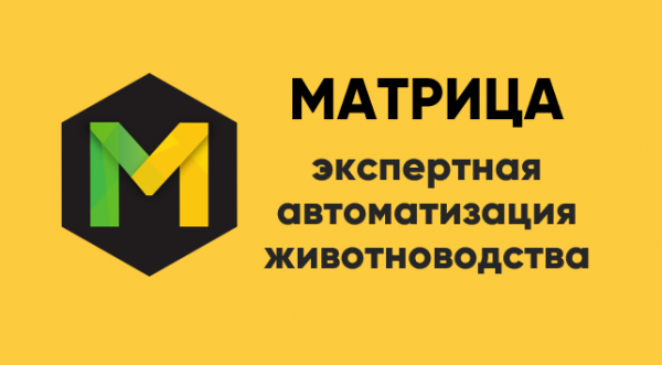 Логотип компании Компания МАТРИЦА
